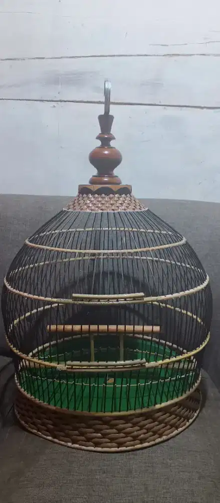 Sangkar tekukur baru