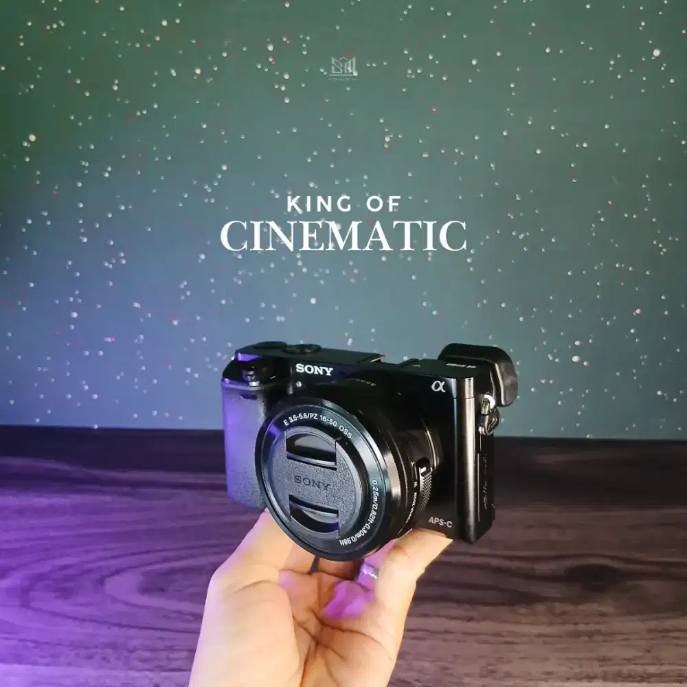 PAYDAY! CINEMATIC SONY A6000 MIRRORLESS BESTSELLER