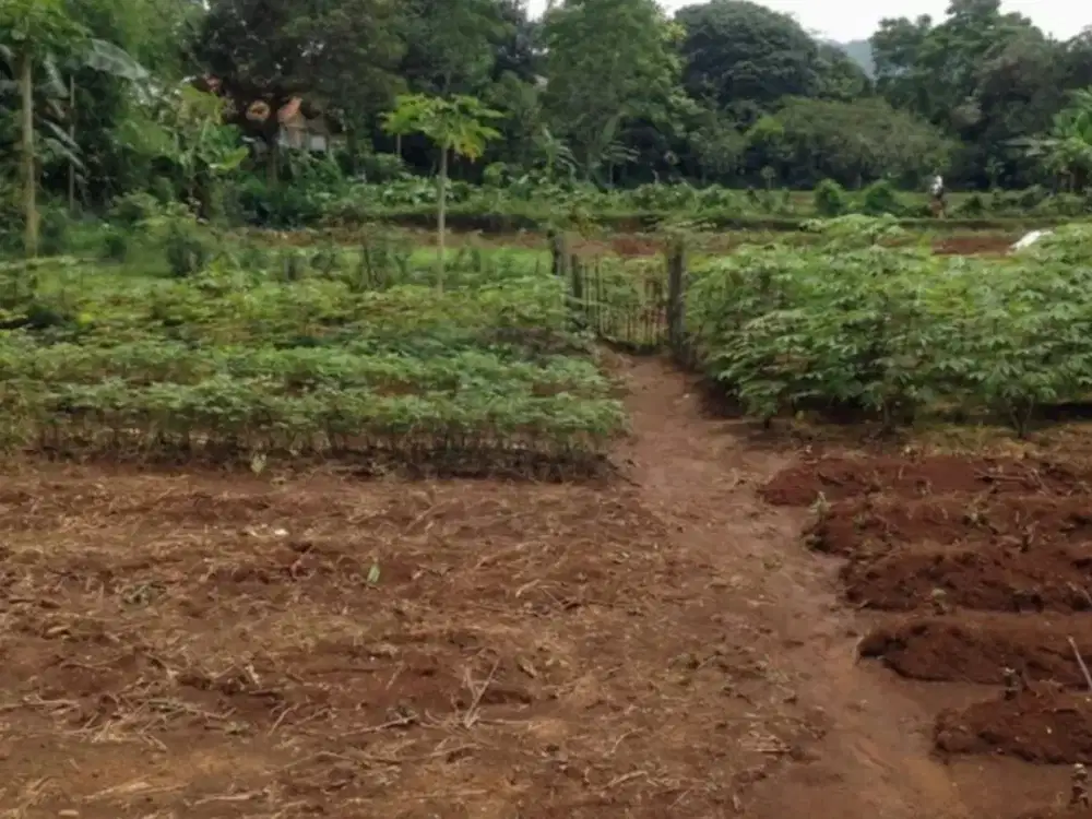 Kavling Lahan di bawah harga pasar Ciampea, Bogor
