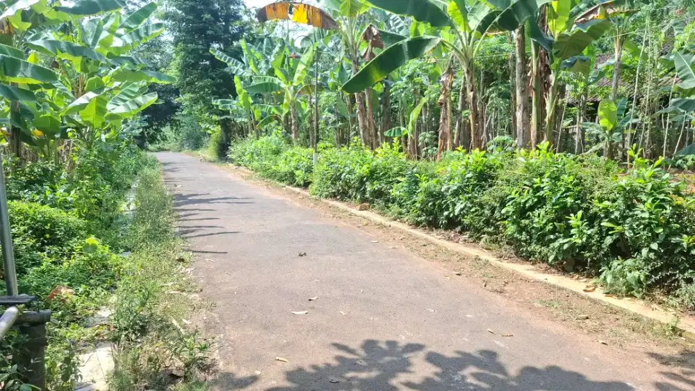 Tanah pekarangan murah mojogedang karanganyar
