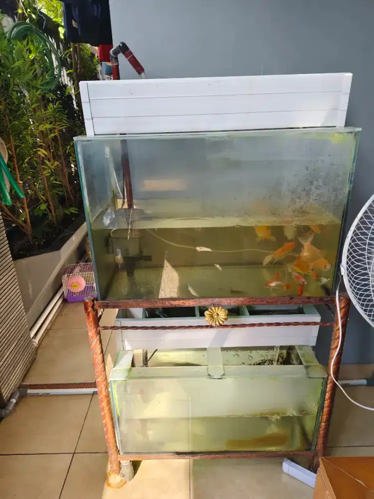 Aquarium satu set dengan rak