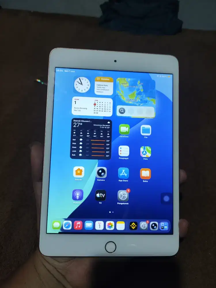 Ipad Mini 5 64Gb Wifi Only
