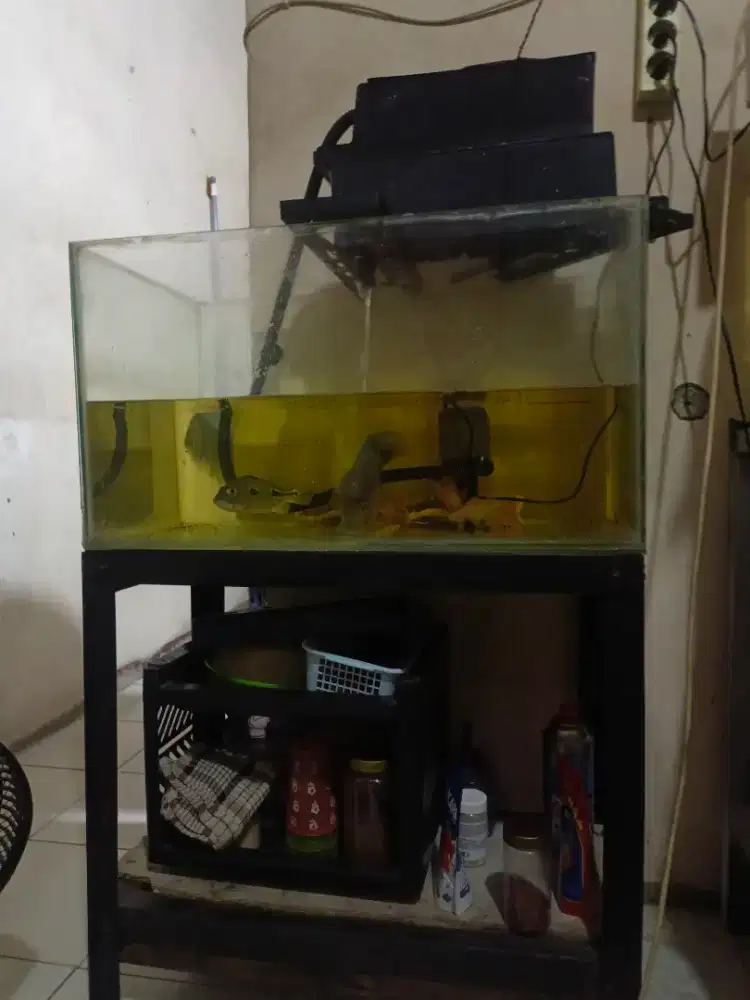 Akuarium fulset