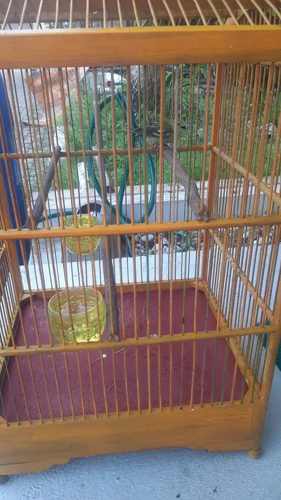 Jual sirtu / cipoh fullset