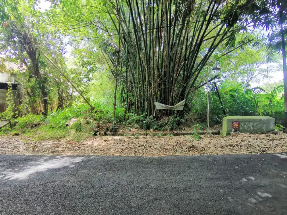 Tanah luas dan murah view' sungai dekat SCH Pendowoharjo Sleman