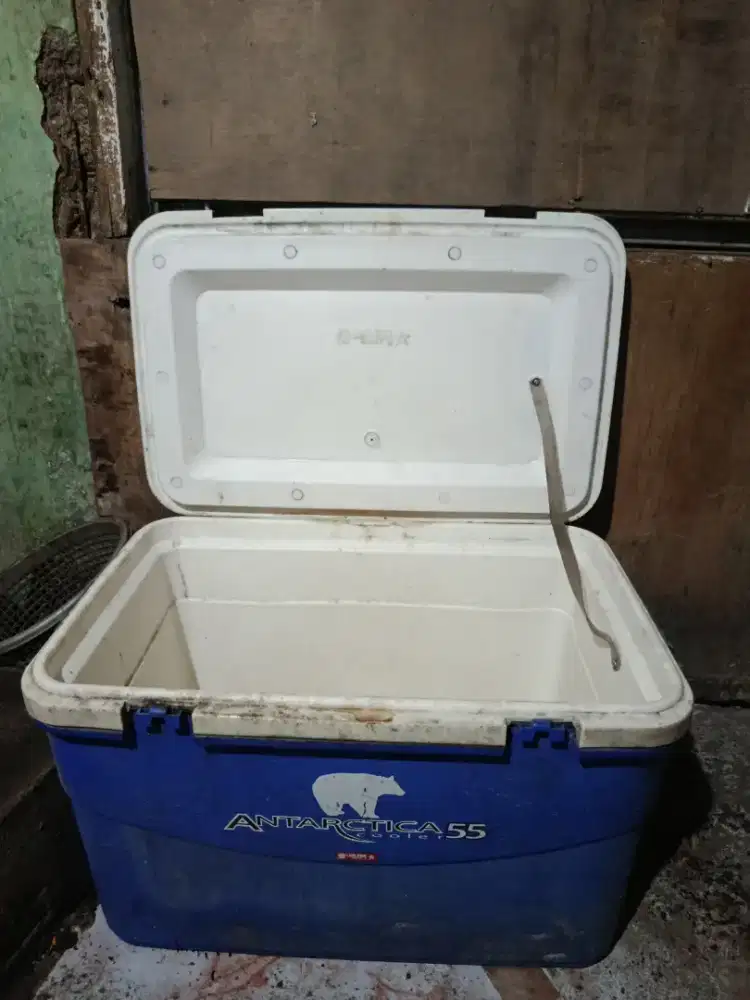 Box es besar antartika dari lion star