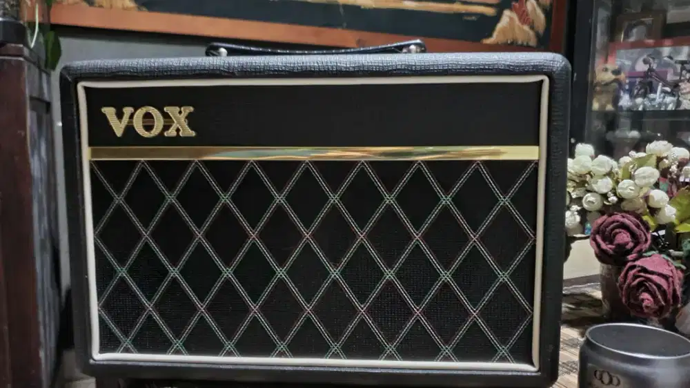 Pathfinder 10 Bass Amplifier