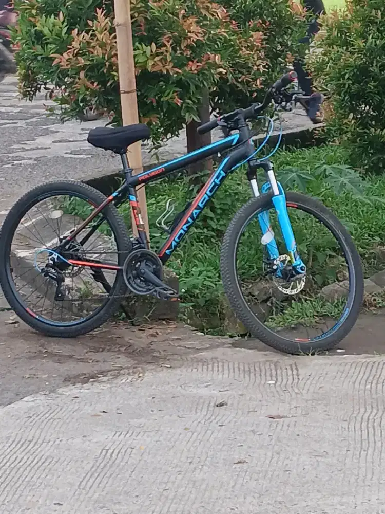 *SEPEDA POLYGON MONARCH M5
