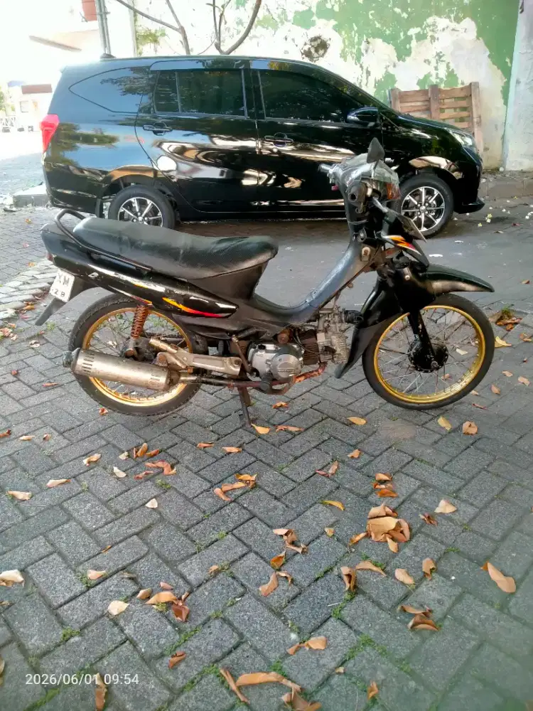 Shogun kebo murah