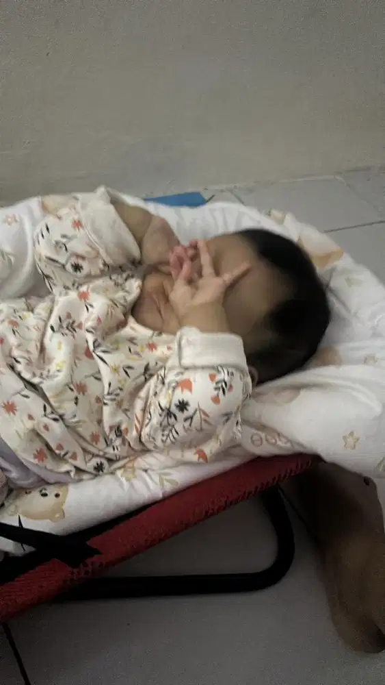 Di cari pengasuh dan art