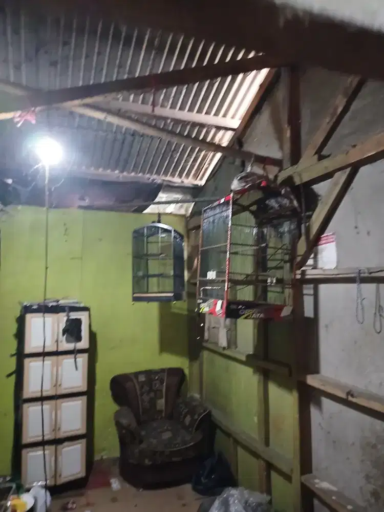 Sangkar dekal oriq dan ebod