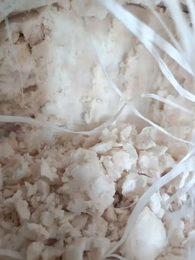 Tepung Sagu Basah Kualitas Terbaik