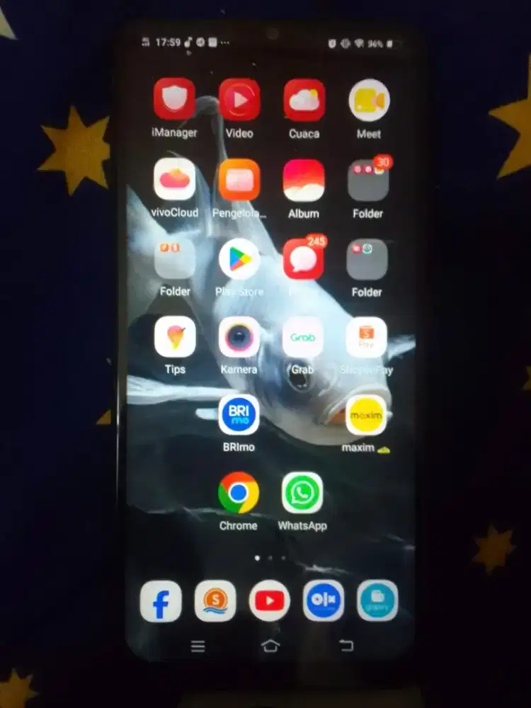 VIVO V11 PRO RAM 6/64