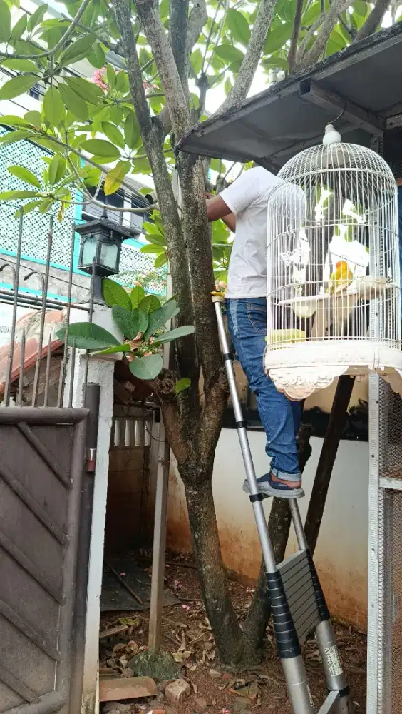 Dicari kenek untuk pasang cctv