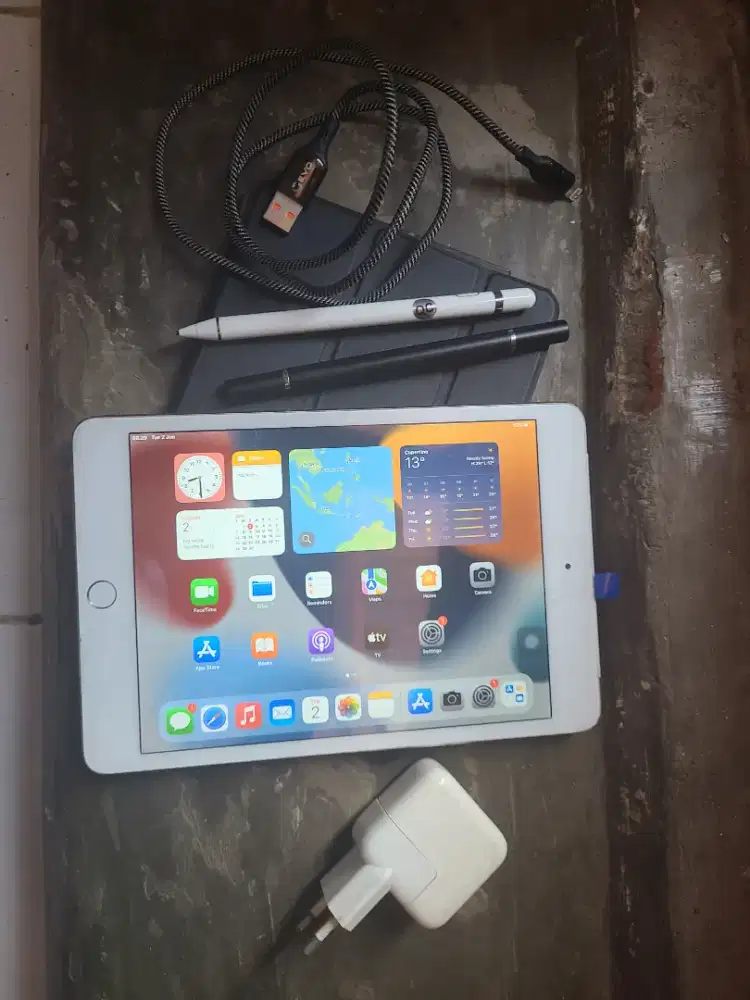 Ipad mini 4 64 gb Wifi Cellular