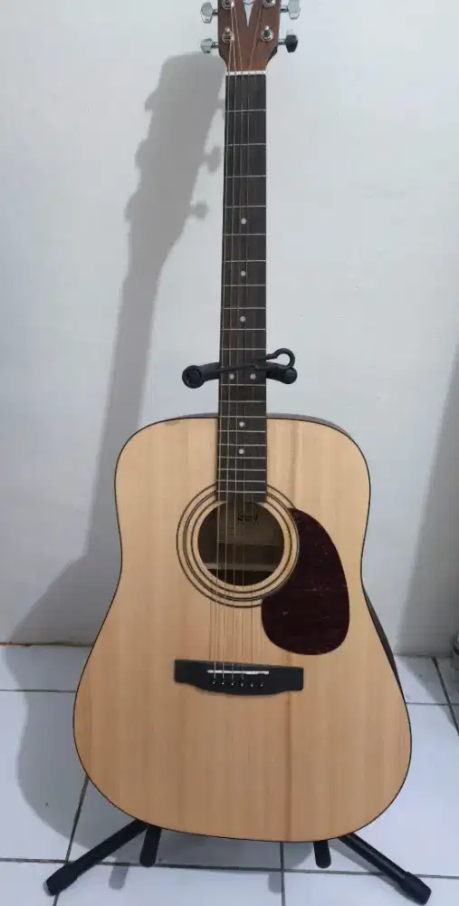 Guitar acoustic Cort Earth60 OP