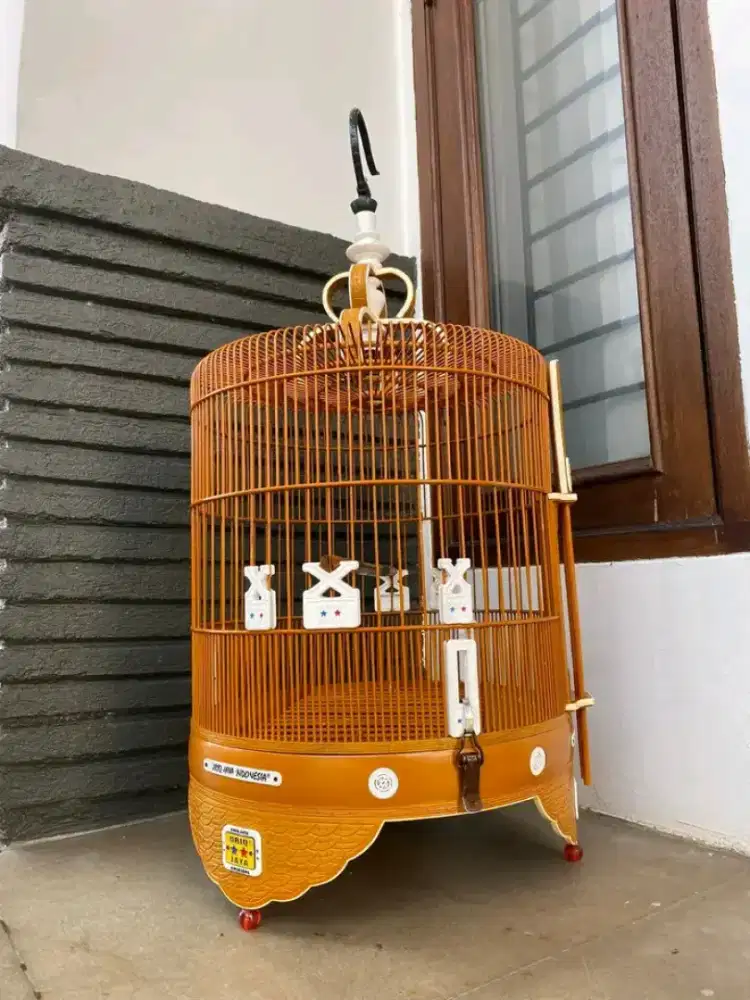 Kandang oriq jaya burung anis