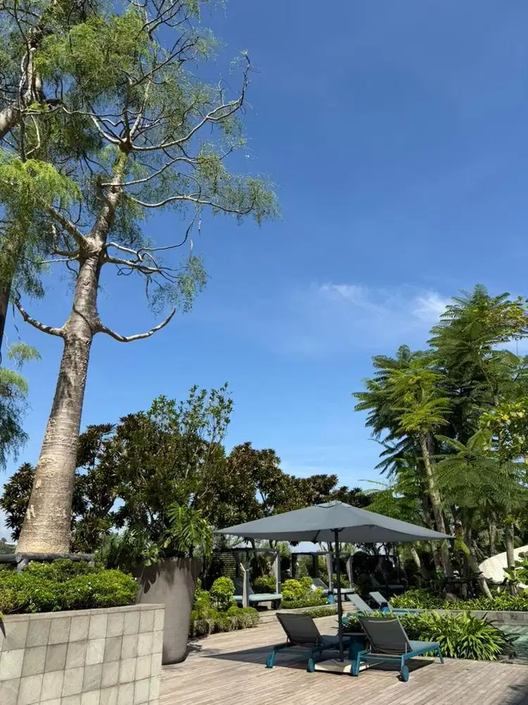Asisten Rumah Tangga (ART)