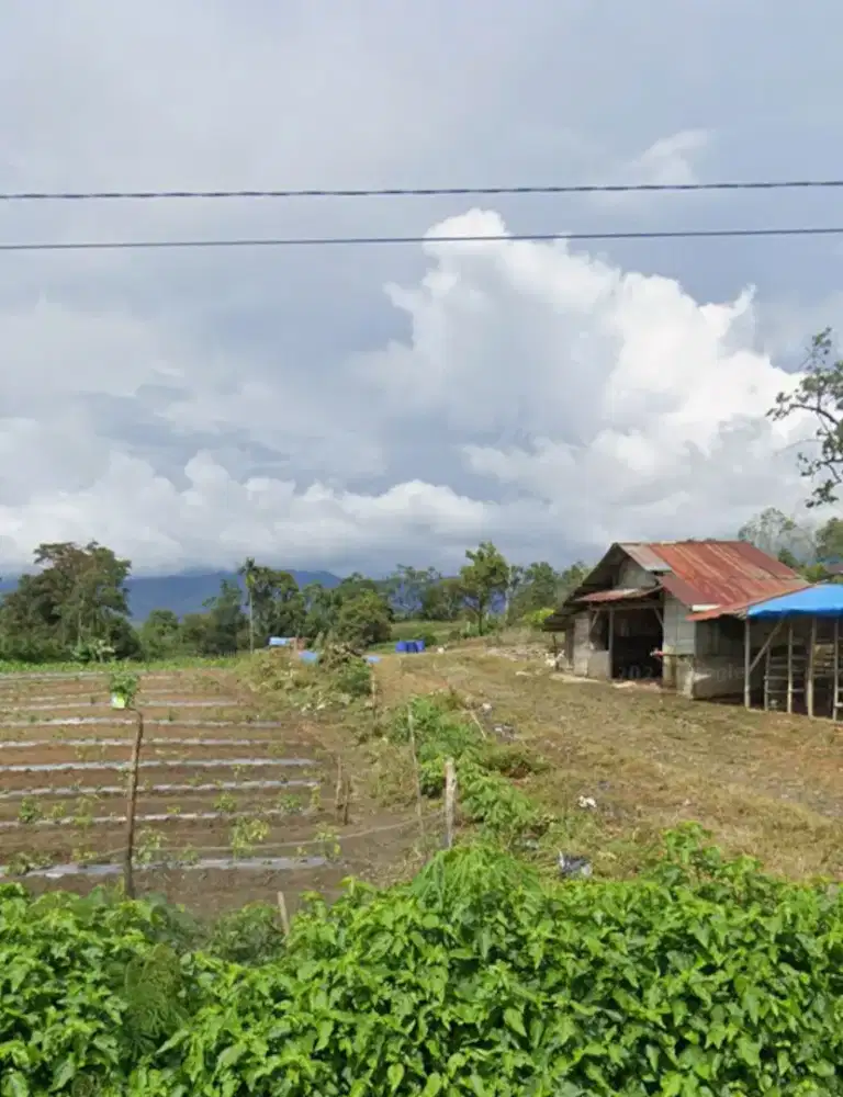 DIJUAL TANAH PERLADANGAN