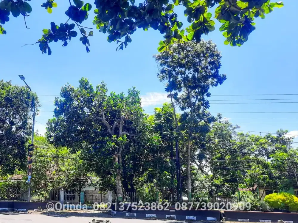 Tanah HGB 1015m2 Jl Magelang Km 10,5 Dekat Jl Pandowoharjo, SCH, JCM, Jombor, Jl Gito-gati