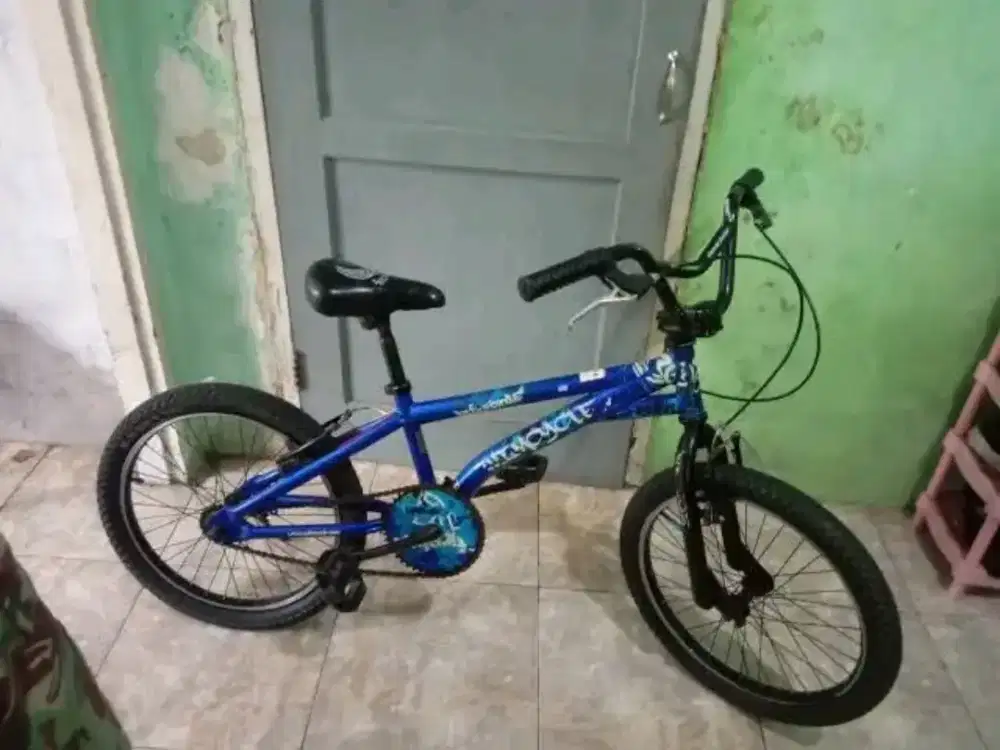 Wimcycle firebird