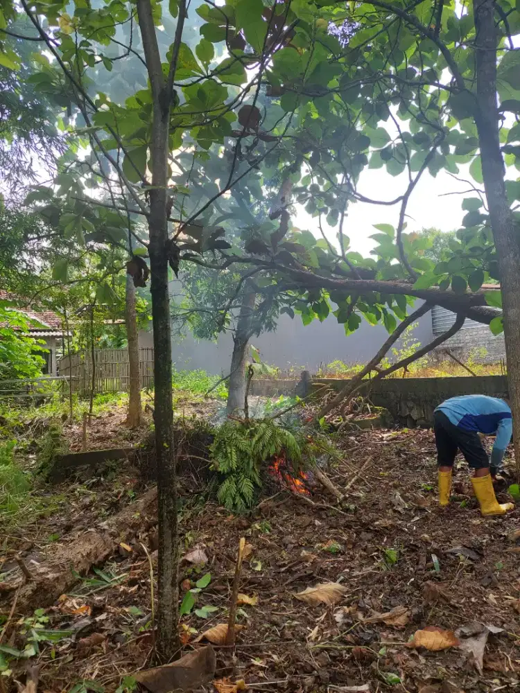 Tanah pekarangan siap bangun