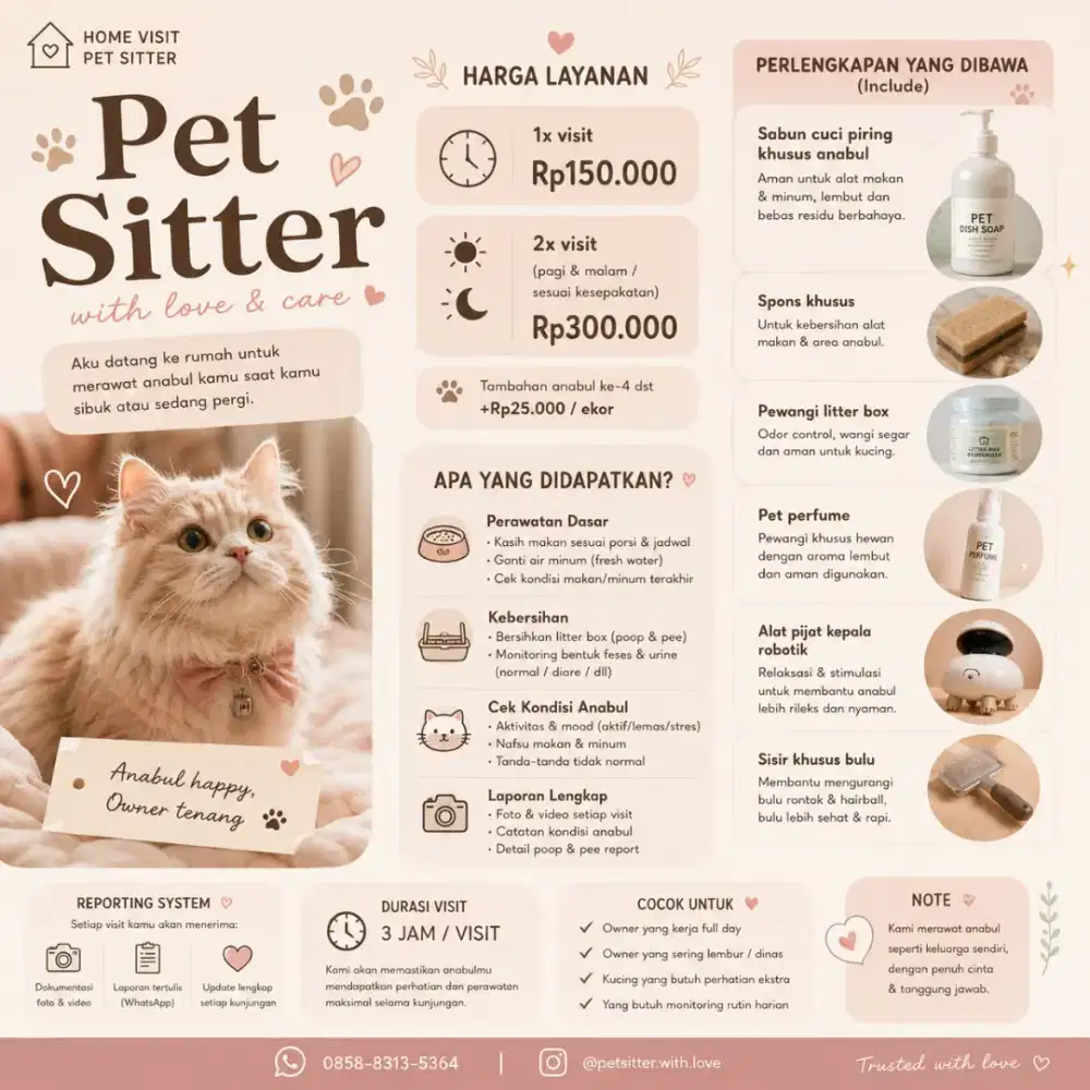 Cat Sitter Available