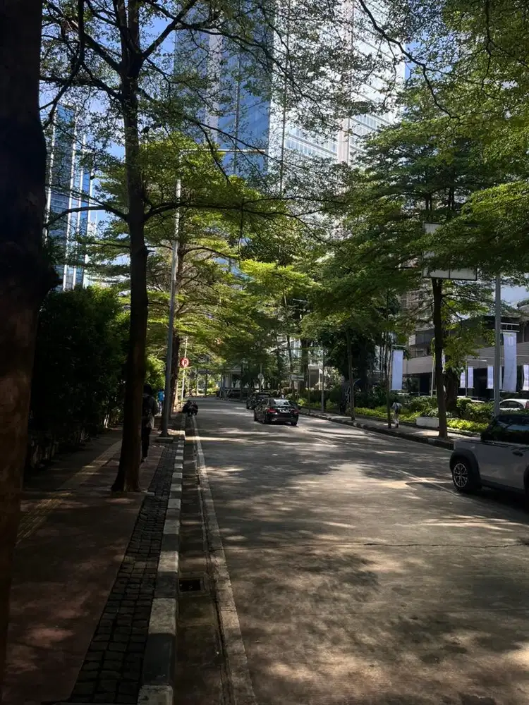 Pengasuh Bayi Laki - Laki
