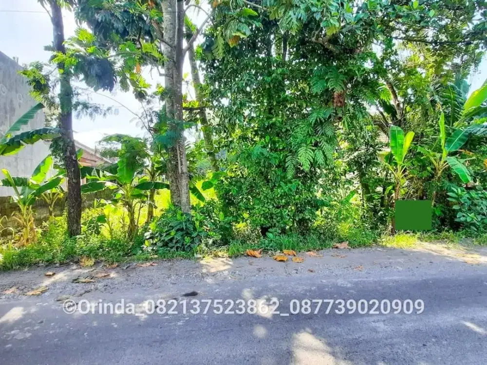 Tanah  SHMP 1197m2 Tajem Dekat Jl Raya Tajem, UNRIYO, UPN, AMIKOM, Jogja Bay, Maguwoharjo Dekat Ringroad Utara, UMBY