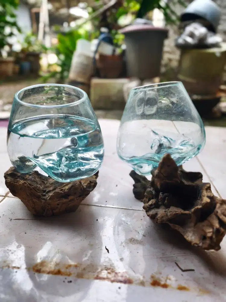 Aquarium Ikan Cupang Alas kayu