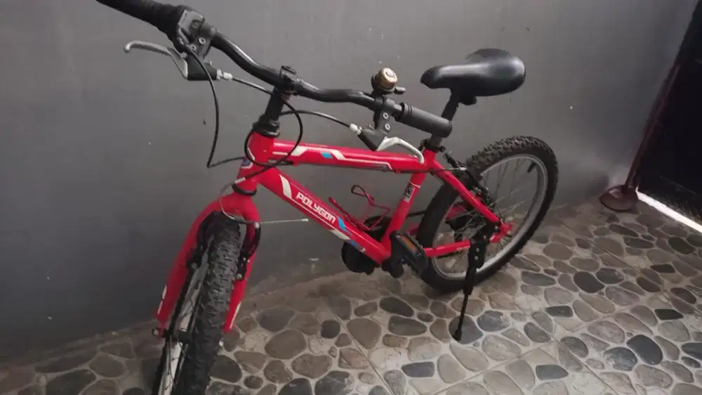 MTB Junior Polygon Monarch 20 inch