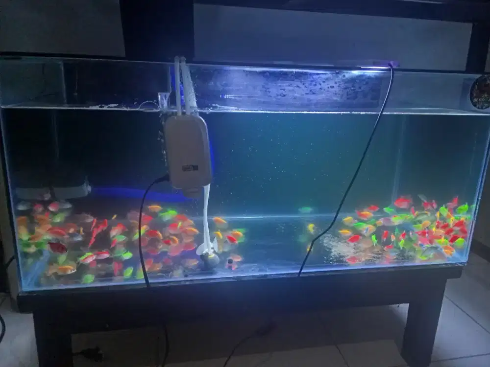 Jual aquarium bekas