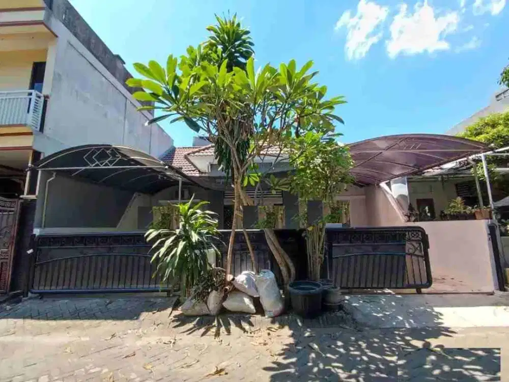 Rumah Palm Spring Jambangan Surabaya Murah. RON.A1098