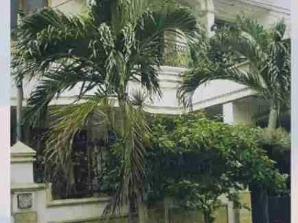 Rumah Manyar Tirtoyoso Utara Surabaya Murah. RON.A109