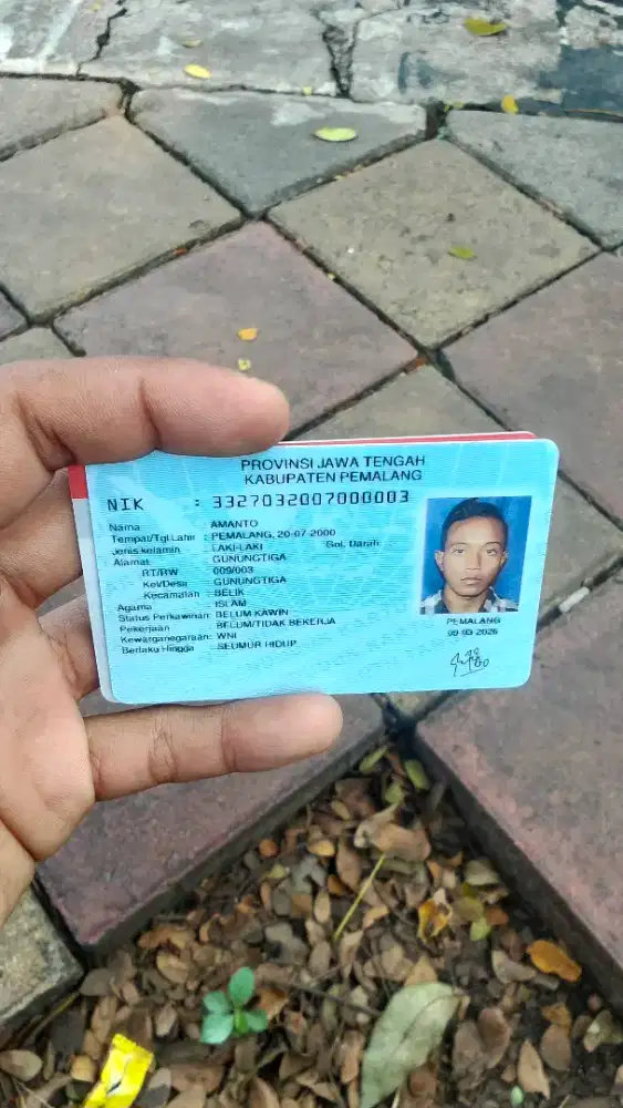 Saya sedang mencari pekerjaan pengalaman sesuai di foto