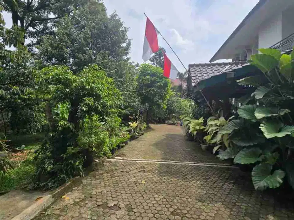 Dijual Rumah Luas 2600 M Rambutan Jakarta Timur Ada Kolam Renang Dan Aula