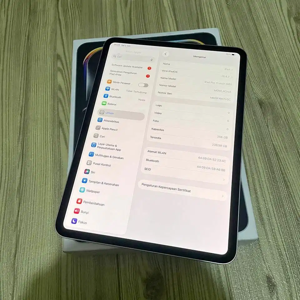 iPad Pro M5 256GB Silver Garansi April 2027 Wifi Battery 100%