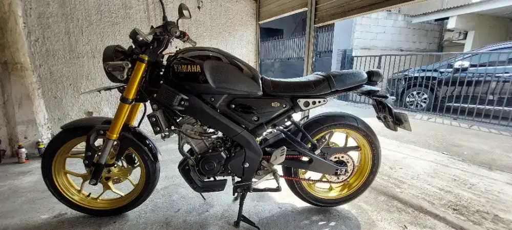 XSR Black glossy  th.23 gold USD