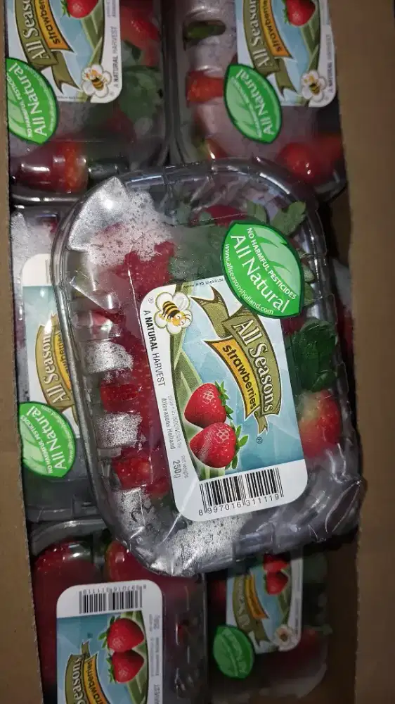 Strwbery allseason Natural Premium Pack