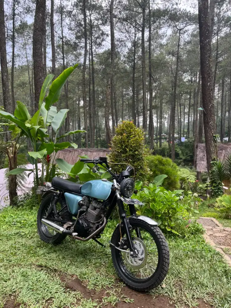 HONDA TIGER REVO 2008 CUSTOM BRITISH