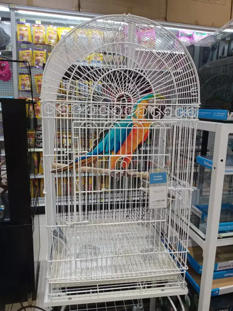 Bird Cage XL ( sangkar burung)