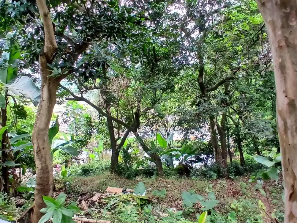 TANAH LUAS DI CINERE DIJUAL HARGA NYOP
