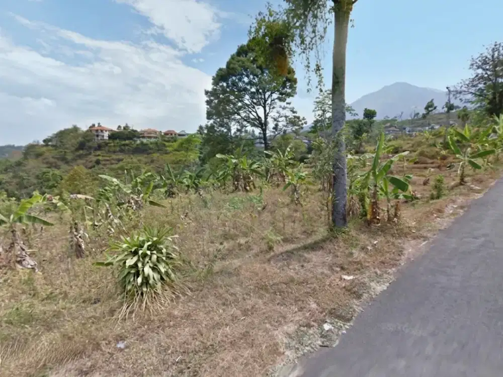 JUAL TANAH PRIGEN SIAP PAKAI DEKAT BUKIT DOA IMMANUEL