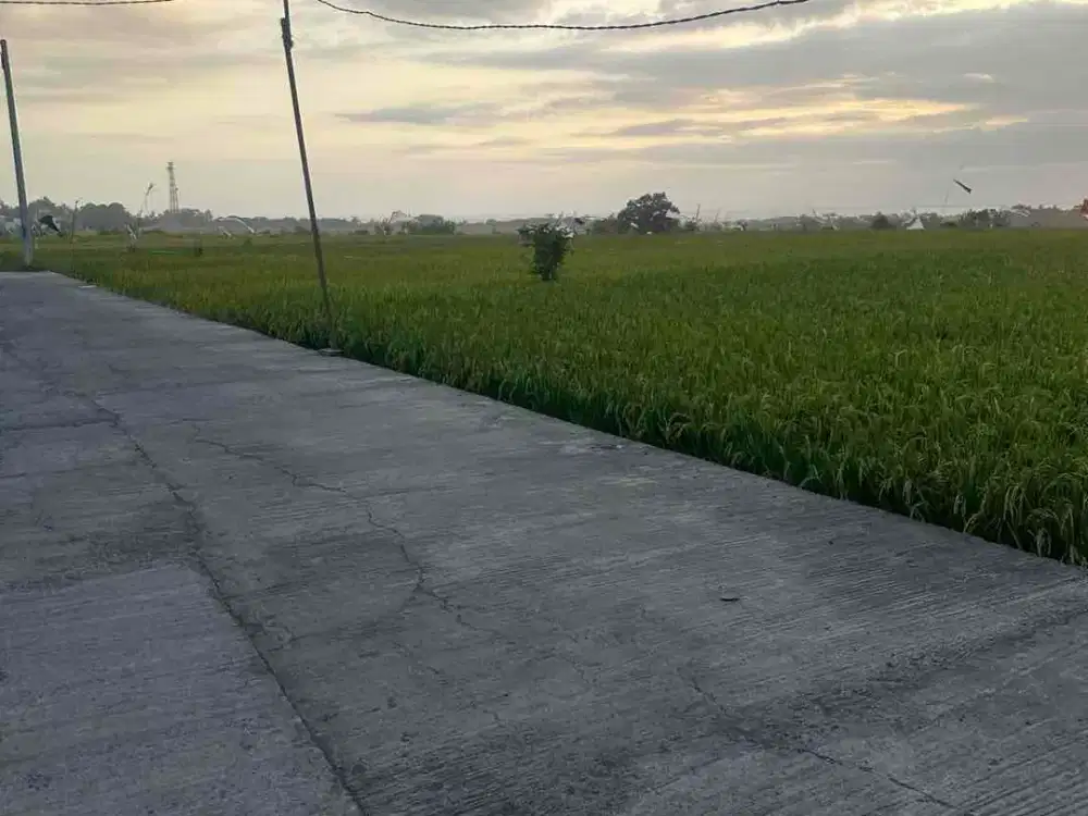Tanah Hak milik di jual