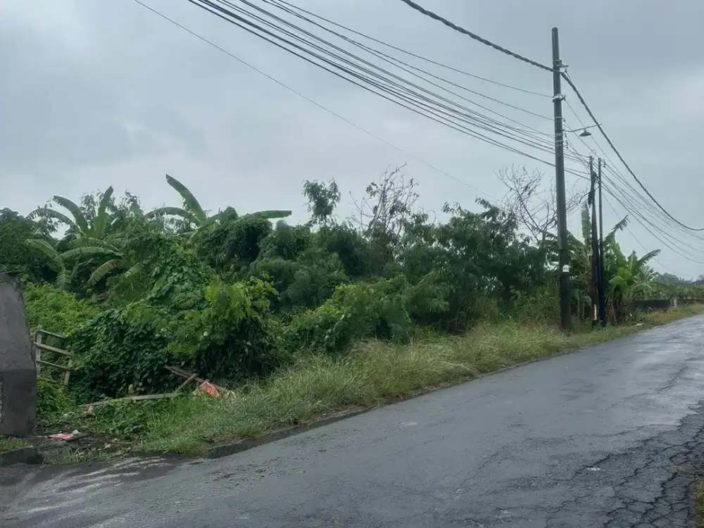 Tanah Di jual pantai kelating -Tabanan