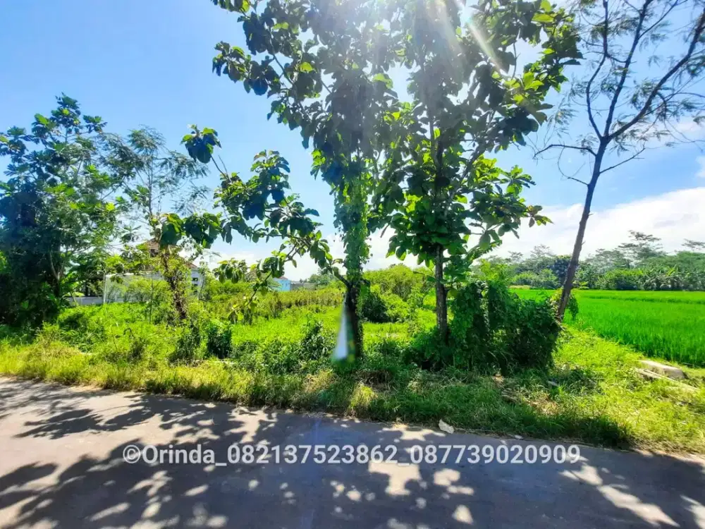 Tanah SHM 1686m2 Gatak Sidokarto Dekat Jl Godean, UNISA, Ringroad Barat, Jl Sidomoyo, Pasar Godean