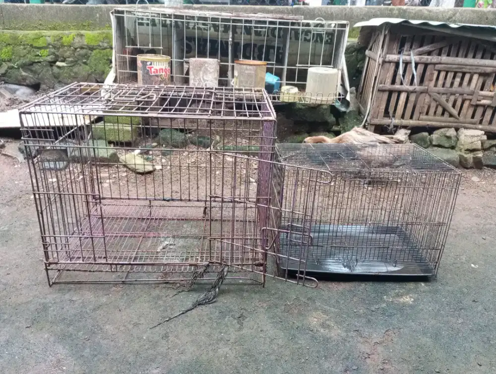 Kandang Besi Hewan