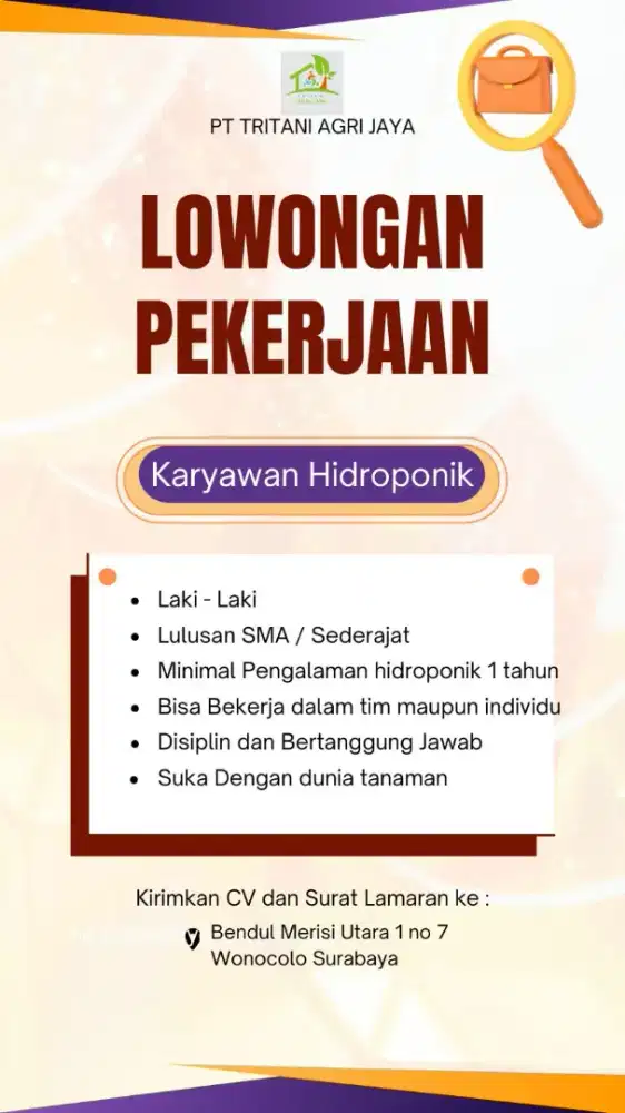 Dicari Karyawan Hidroponik
