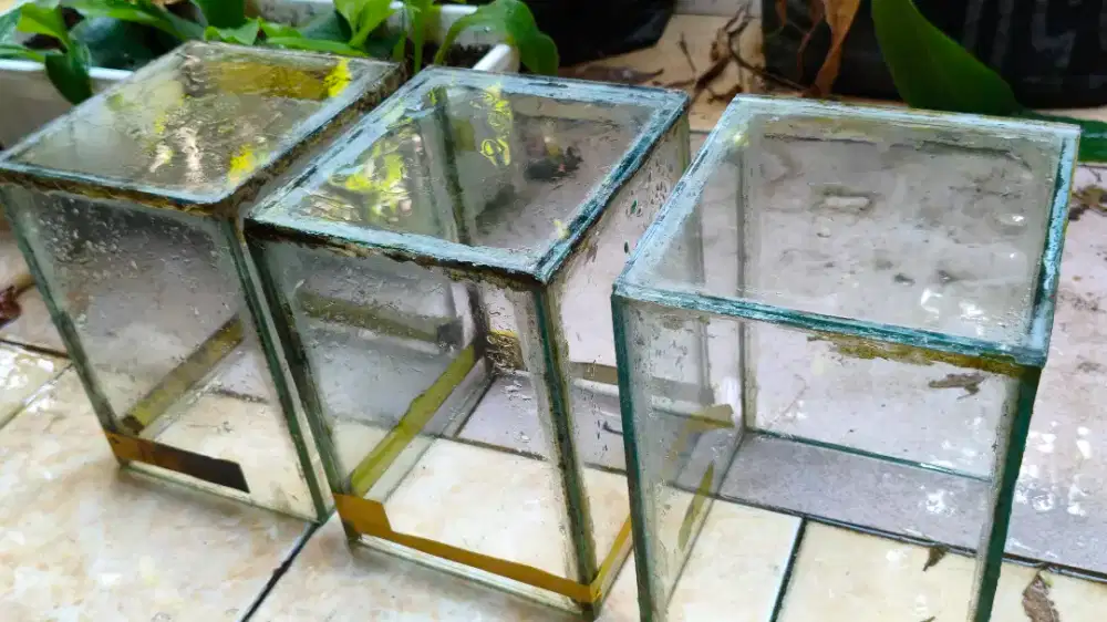 Jual Santai Akuarium Kaca Mini