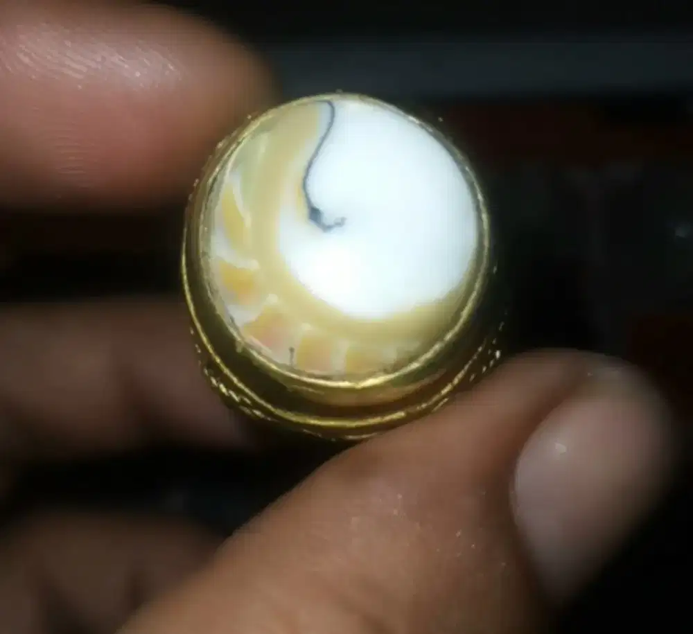 Batu cincin akik fosil keong